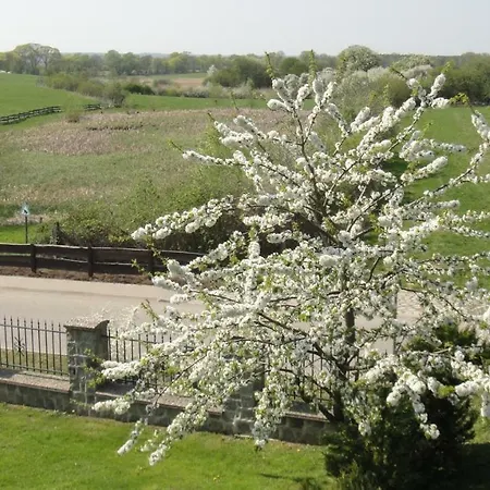 Landpension Zum Schweizerberg Neugrimnitz Exterior photo