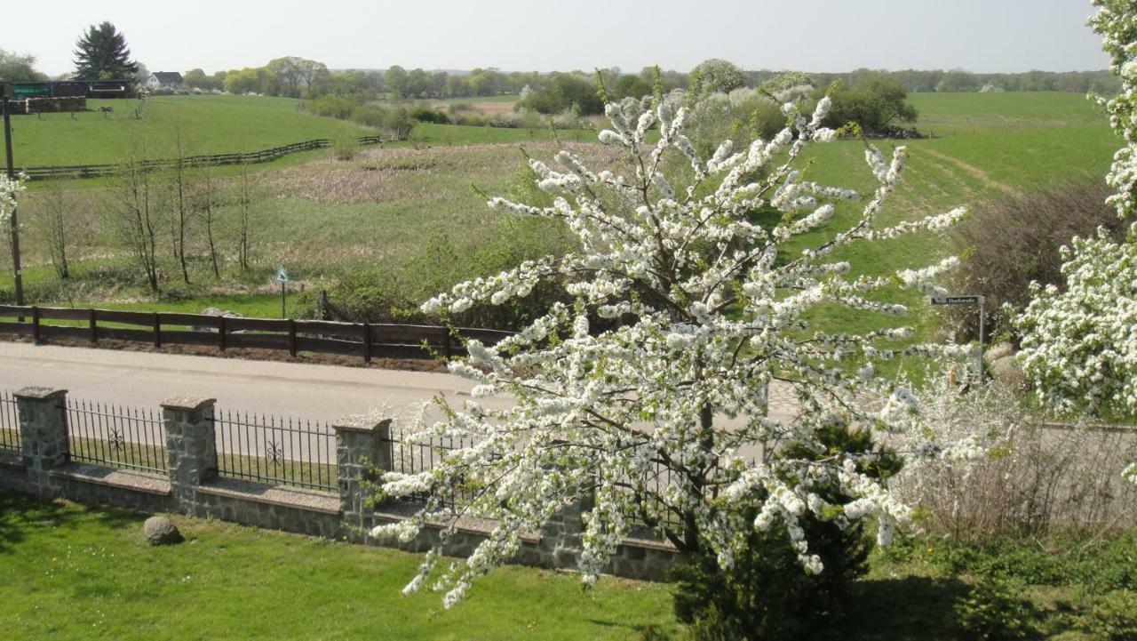 Landpension Zum Schweizerberg *